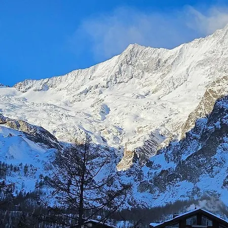Fewosaasfee Ideal Location In Summer And Winter